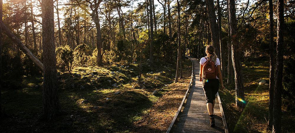 Trollskogen