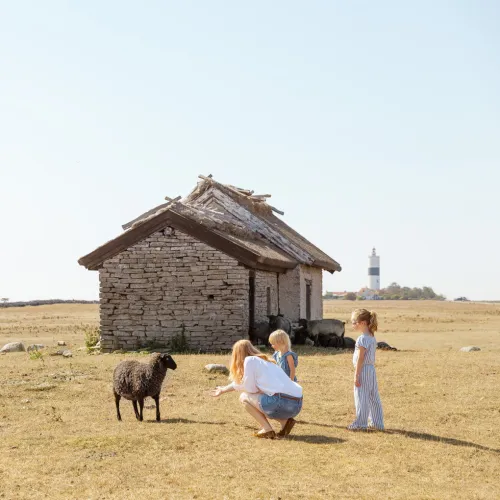 Ottenby & Långe Jan