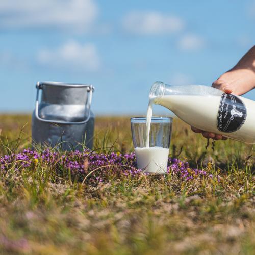 Mjölk hos Bondbönan på Öland