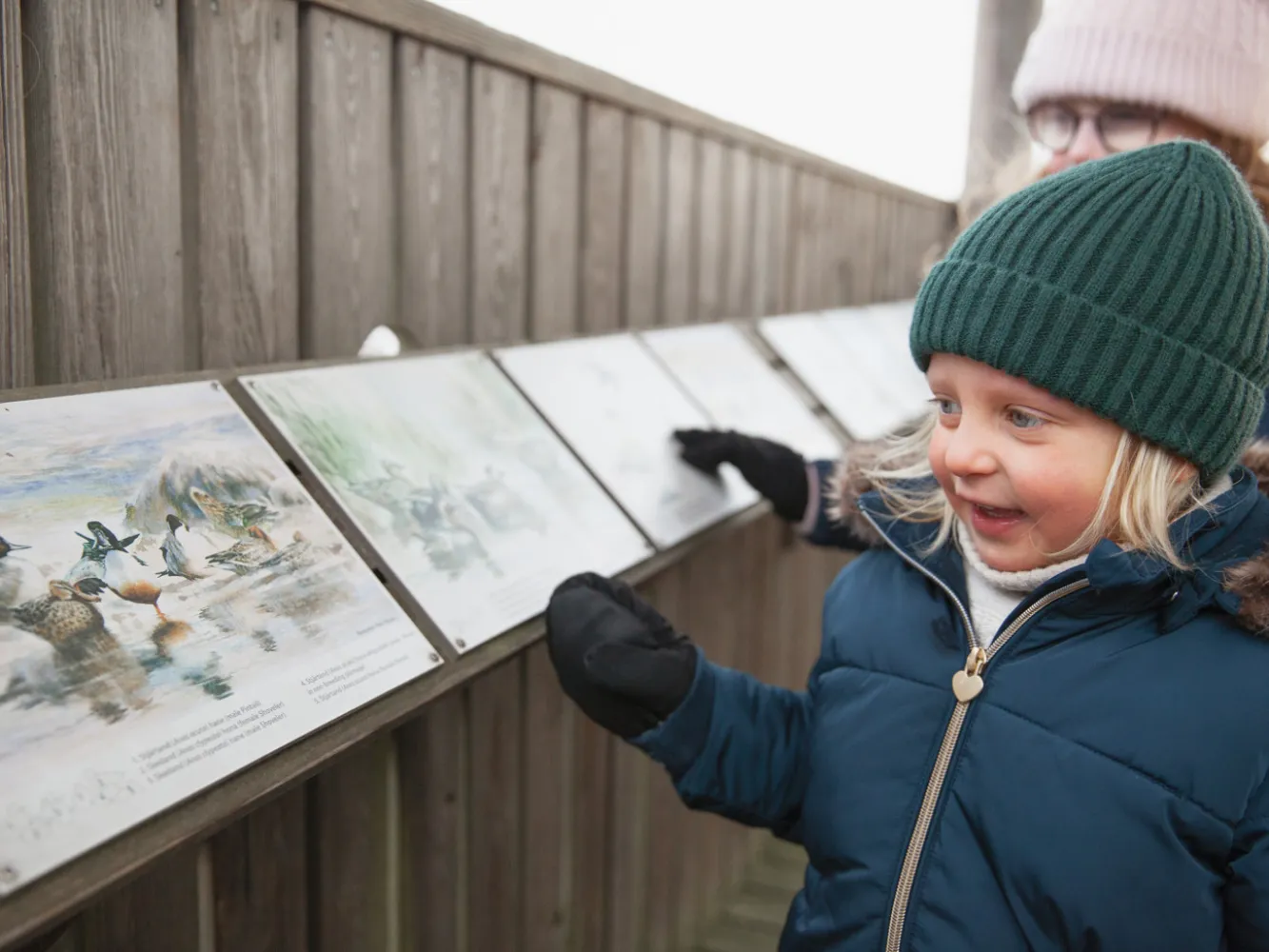 Vinterutflykt till Beijershamn på Öland. Barn kollar nyfiket på tavlor som berättar om fåglar som flyger runt om vid beijershamn.