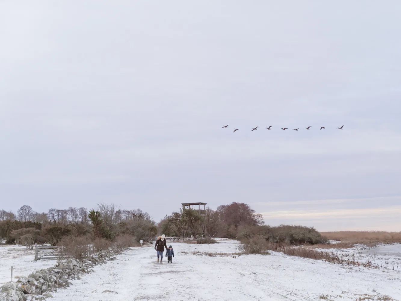 Vinterutflykt till Beijershamn på Öland. 