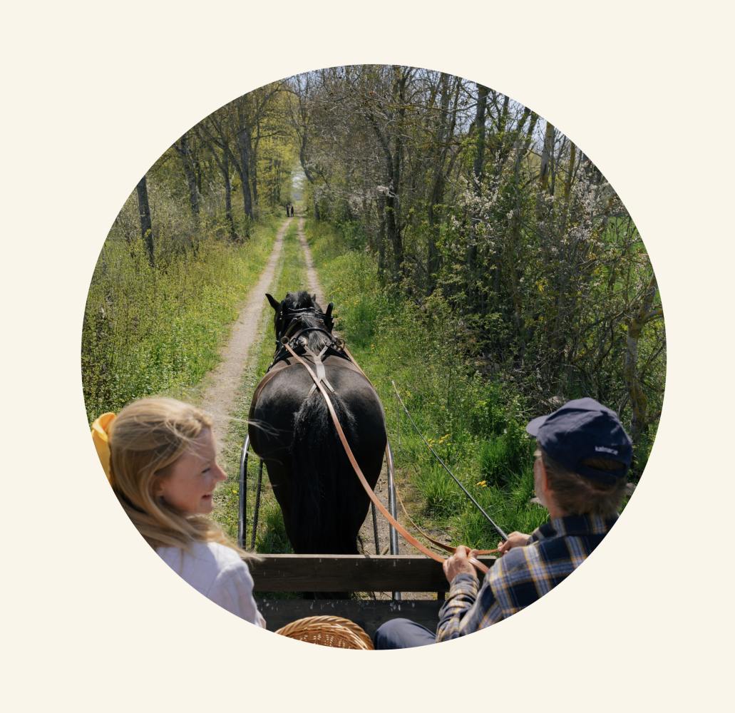 Spring, tour by horse and carriage, Öland Spirar