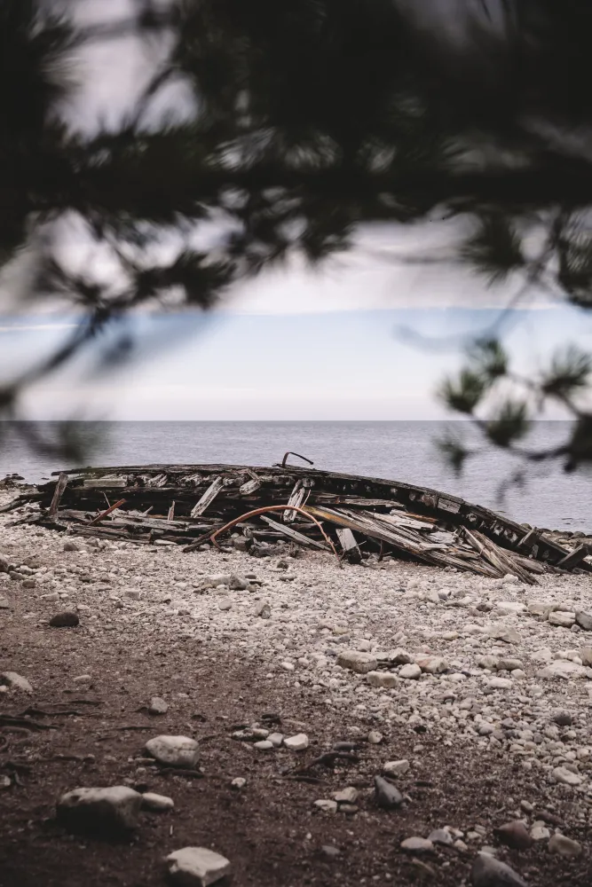 Vraket Swiks i Trollskogen