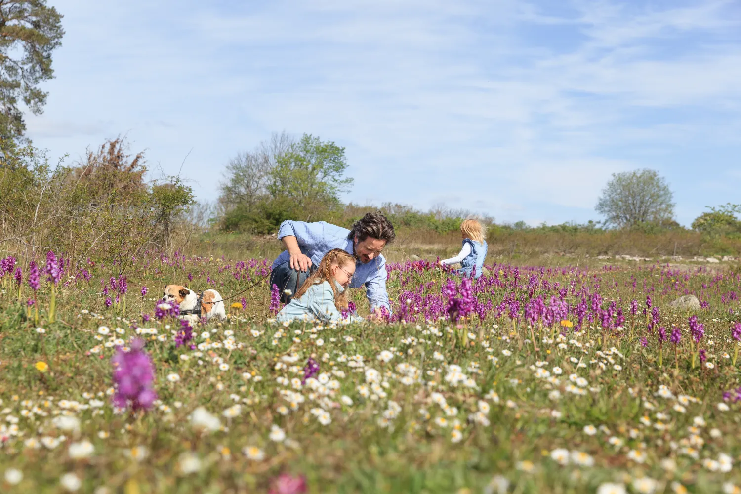En vuxen, två barn och en hund är i en blommande äng.