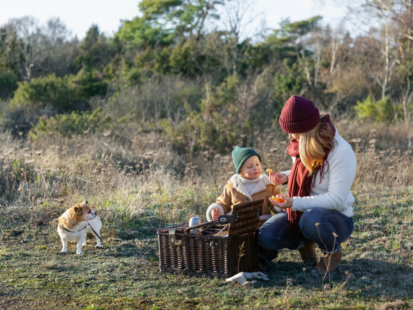 En mamma som ger sitt barn en clementin. Bredvid har det med sig sin lilla hund och en fikakorg. 
