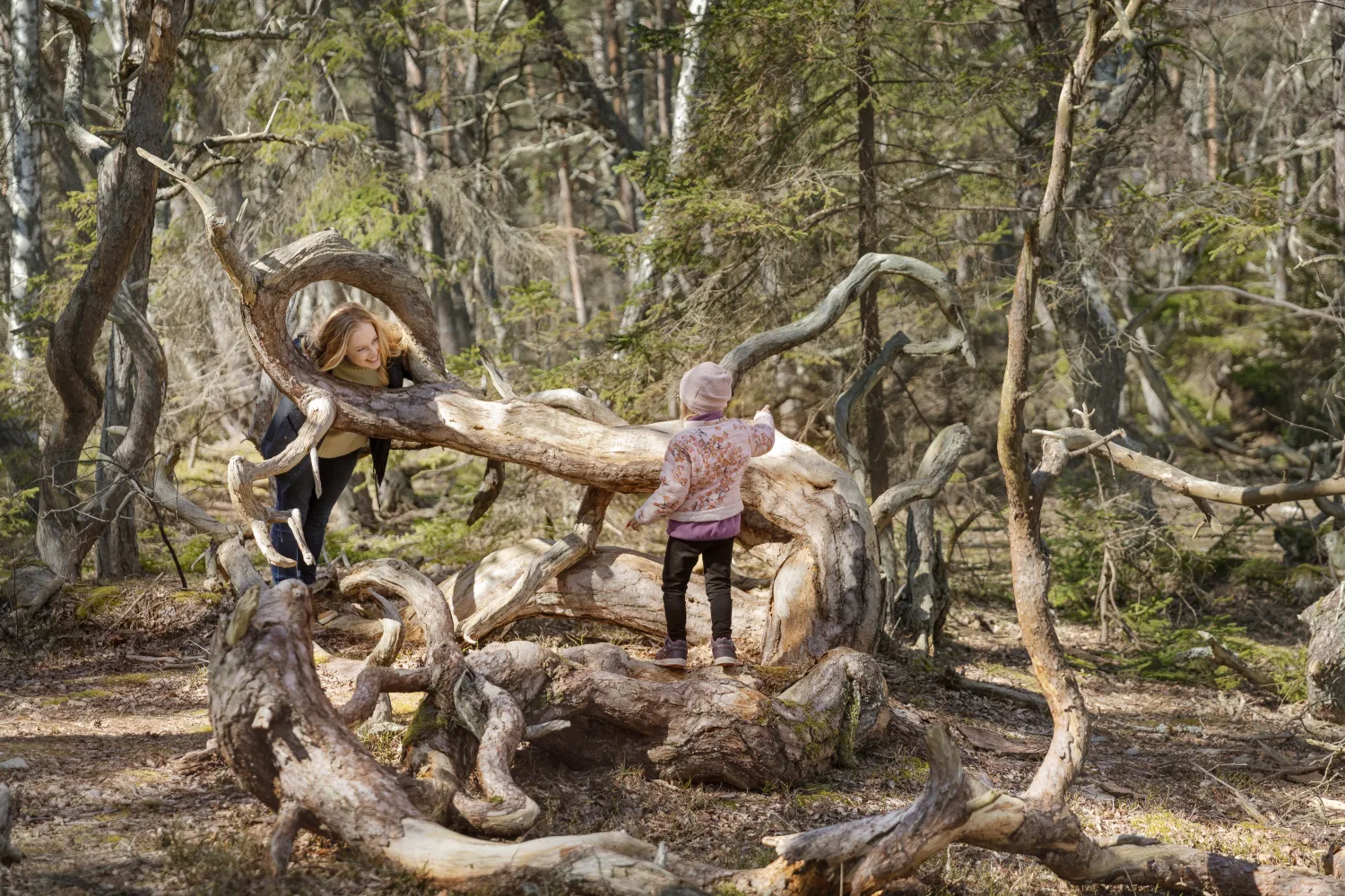 Helena Elm - Utflykt - Trollskogen