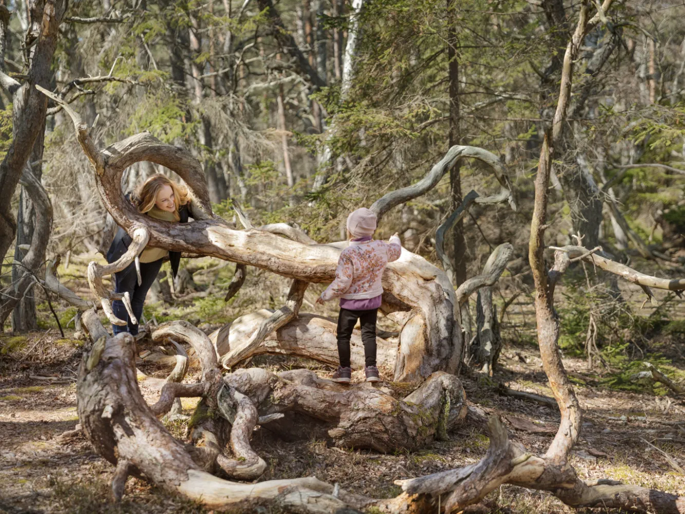 Barn som leker i trollskogen