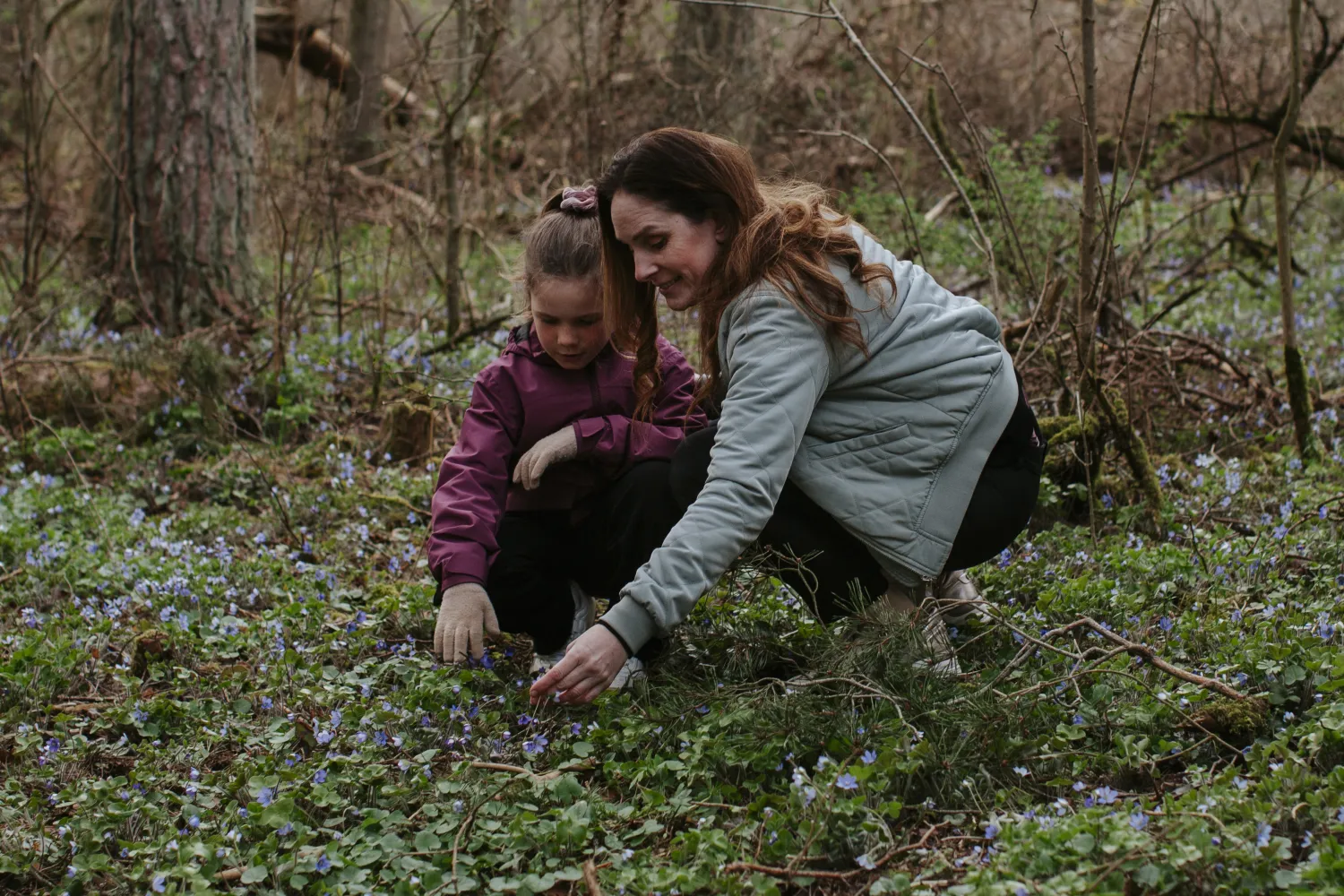 Excursion to Penåsa with Malin Björkholm