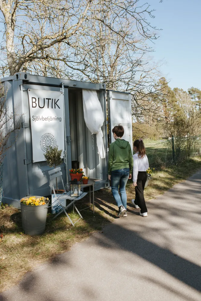 Excursion to Stickobrinn in Kastlösa with Malin Björkholm