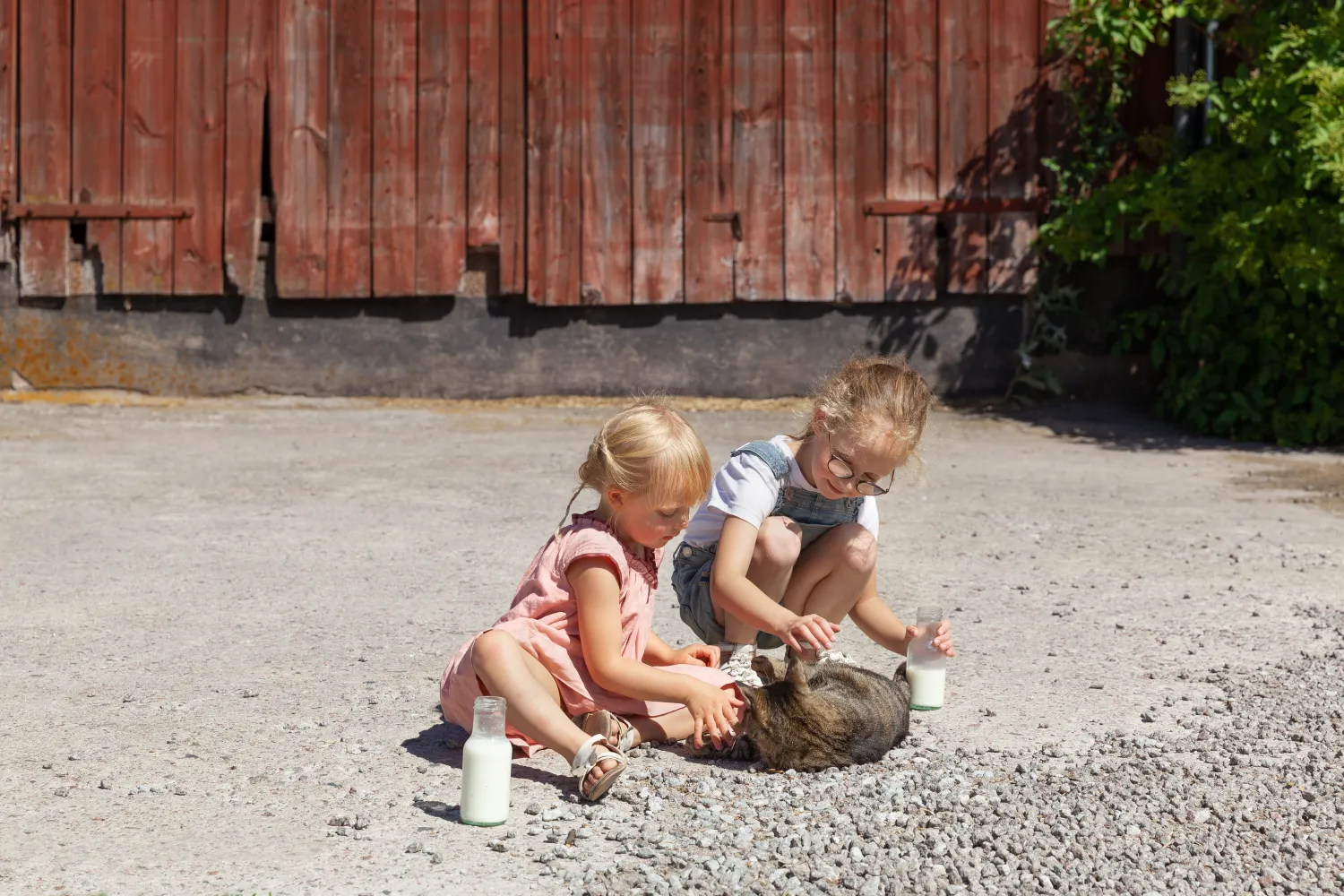 Två barn som myser med en katt på en gårdsplan.