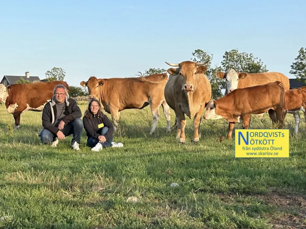 Nordqvist Beef in Skärlöv