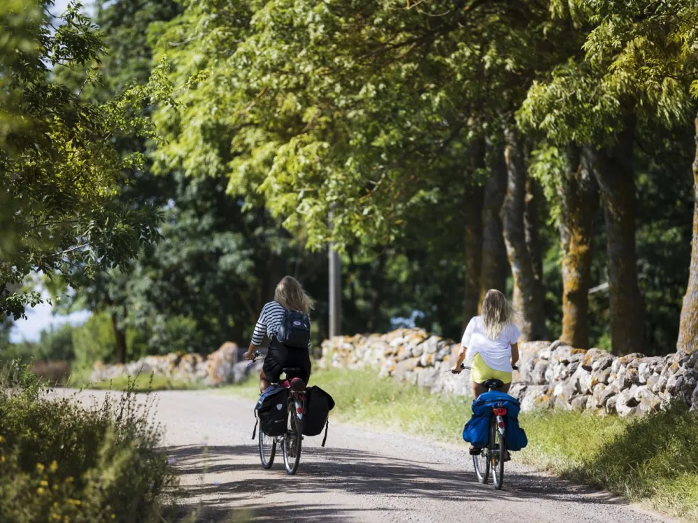 Die Geschichte von Öland – ein Raderlebnis durch die Jahrtausende