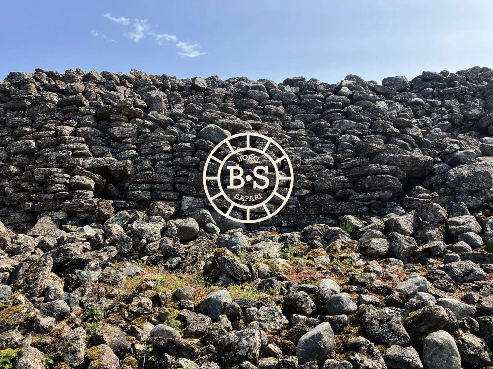 Castle safari by bike in Södra Öland