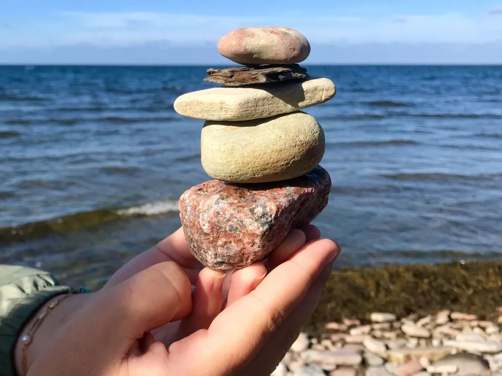 Kalksten, fossil och annat kul