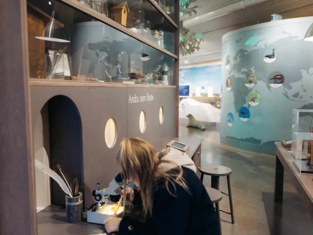 Naturum Ottenby, Südöland