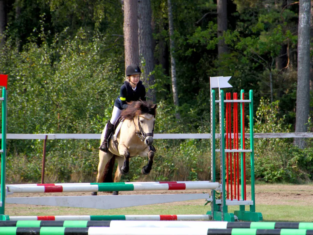 Böda Sand Jump For Hope