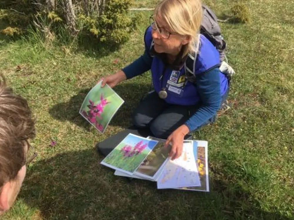 Wandern im Vickleby Alvar