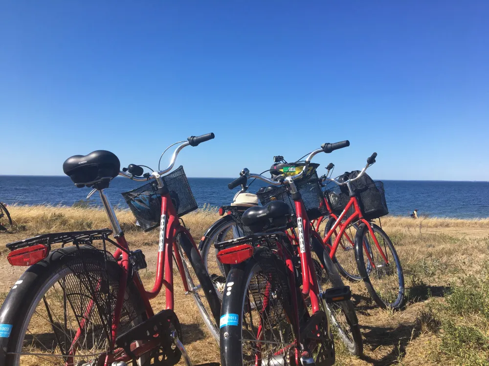 Öland's hinterland with horse pastures