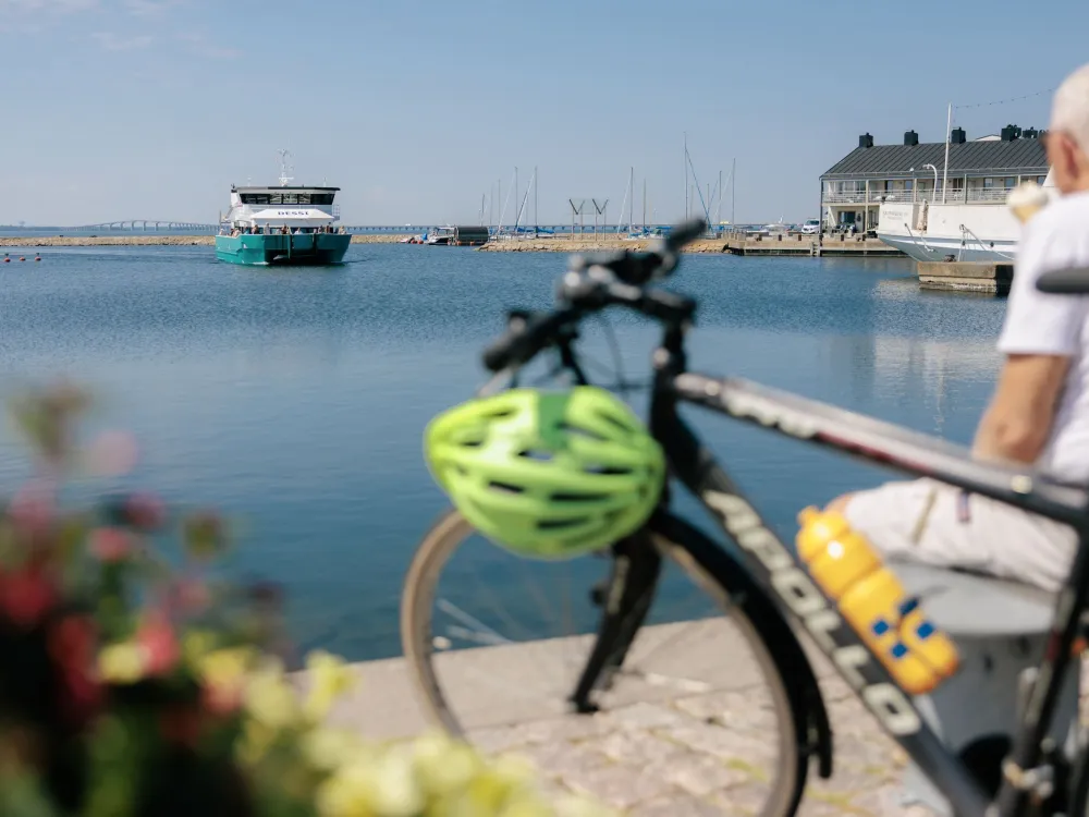 MS Dessi - Cykelfärja