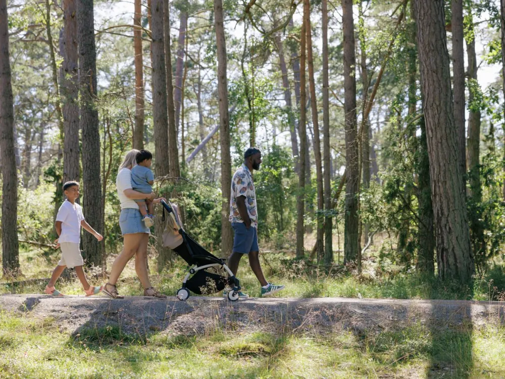 Naturum Trollskogen - Ölands nordöstra udde