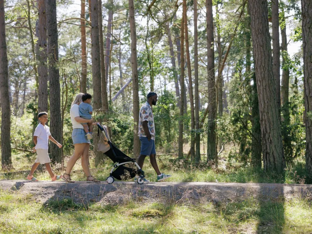 Trollskogens Vandringsleder
