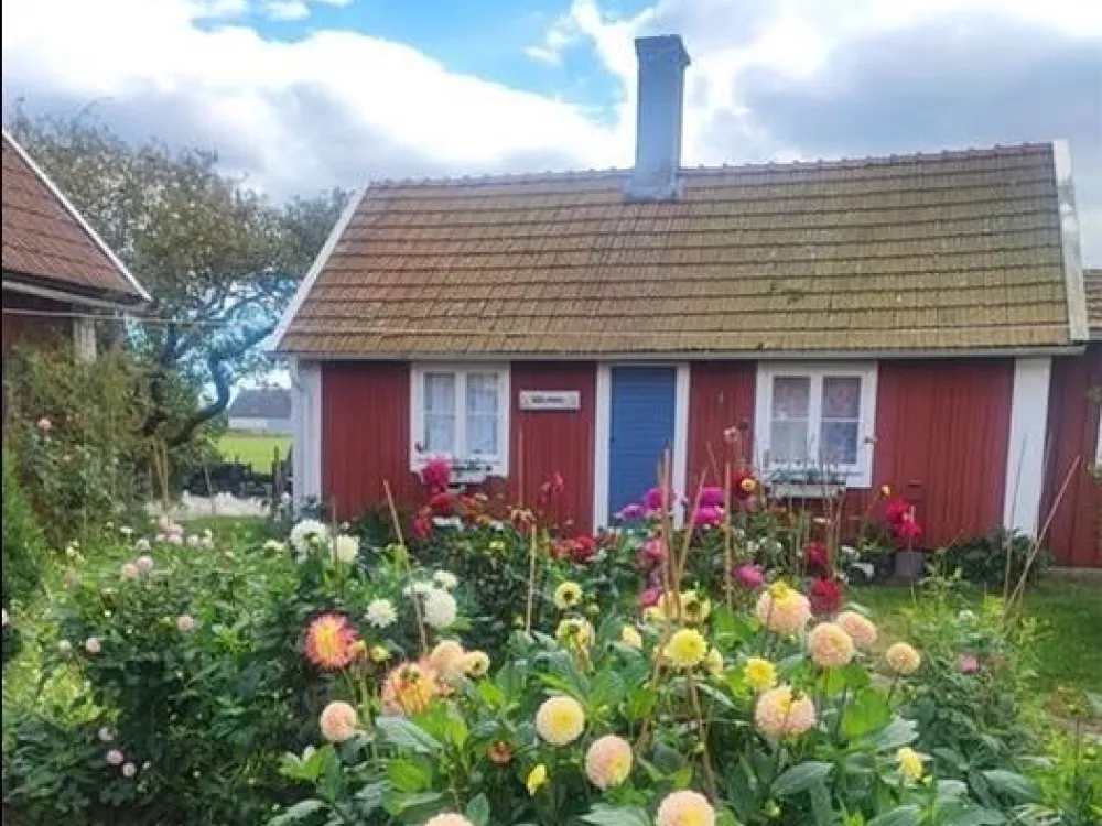 Sävar Fröplant
