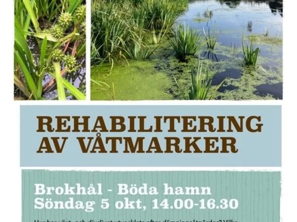 Affisch 9 okt Brokhål
