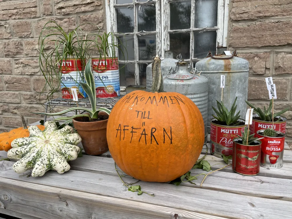 Affärn i Färjestaden