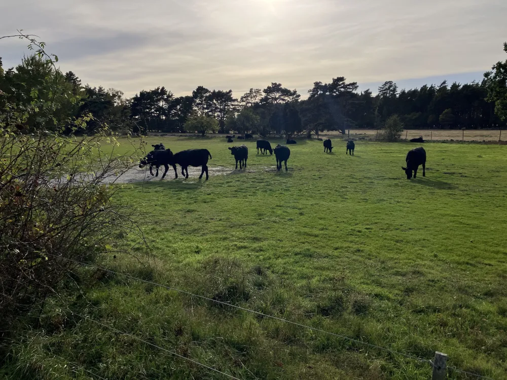Jordbrukarens medhjälpare