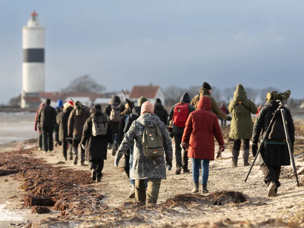 Luciavandring på sandreveln