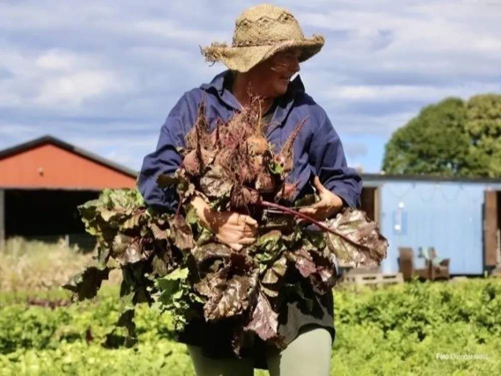Odlarglädje och guidning