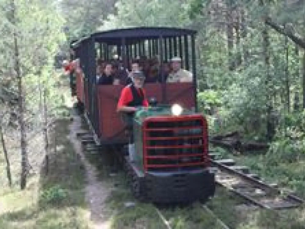 Böda Waldbahn.JPG