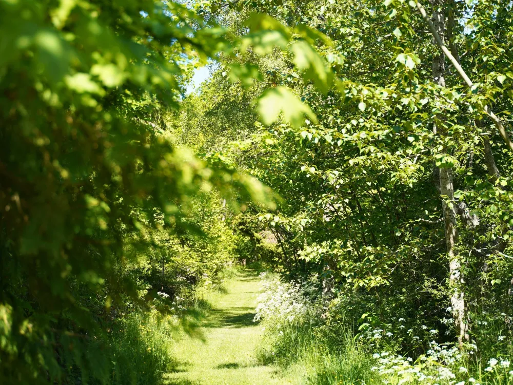 Vandringspaket norra Öland