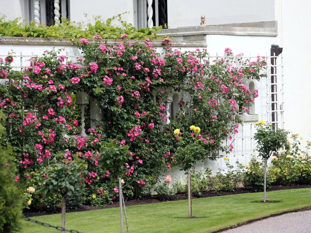 Sollidens Schloss