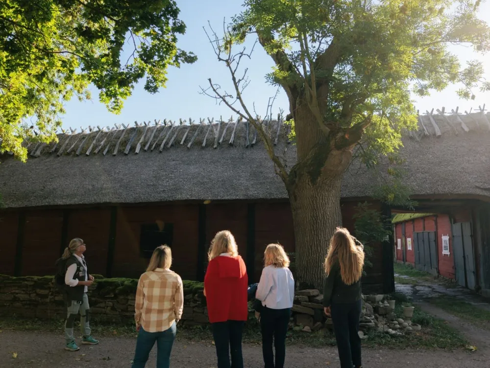 Ölandsguiderna - the Öland guides