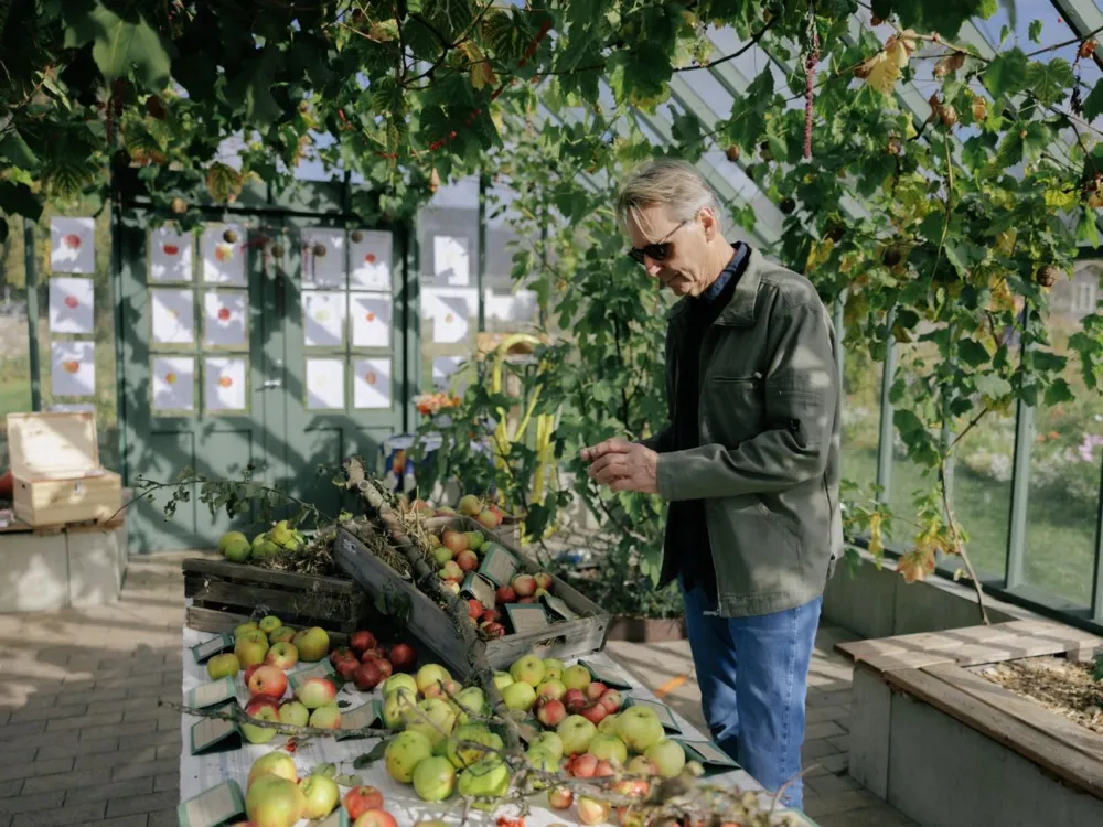 SKÖRDEFEST PÅ ÖLAND