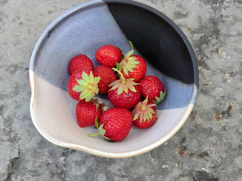 Keramik Pepparhagen - Karin Malmborg