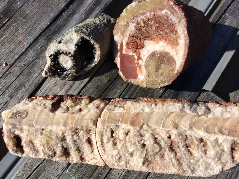 mås i Gillberga bergbrott