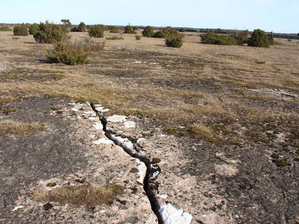 Möckelmossen i augusti