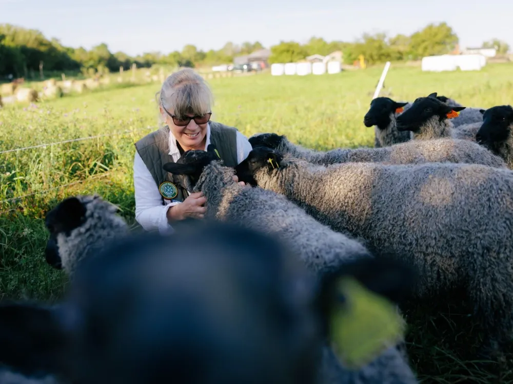 Mittlandsgården - en naturnära upplevelse i Mittlandet