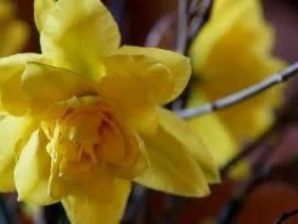 Påskpaket på södra Öland