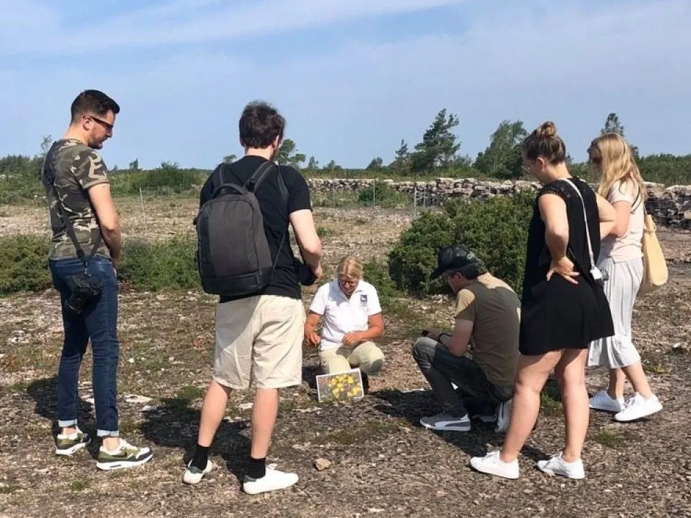 Orkidévandringar i två dagar 