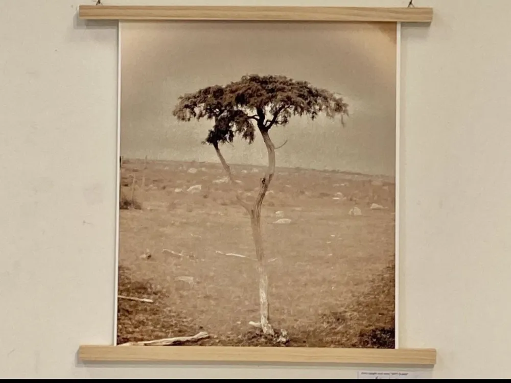 Madeleine Israelsson