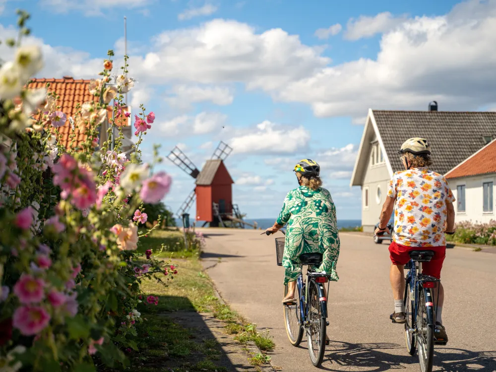 Cykelguidning i Världsarvet södra Öland
