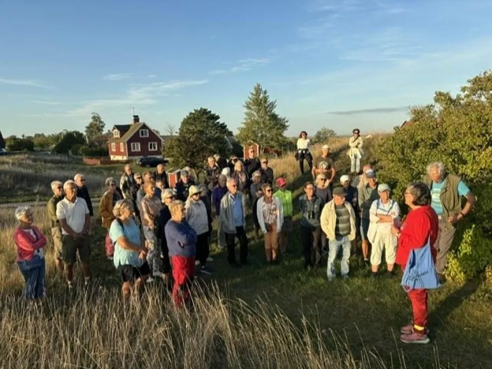 Byvandring i Hulterstad