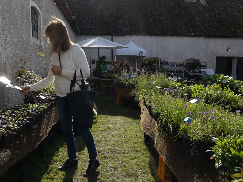 Skördefestpaket Allégården