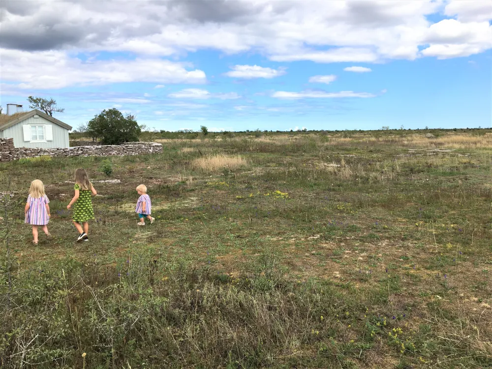 Matvandring i världsarvet