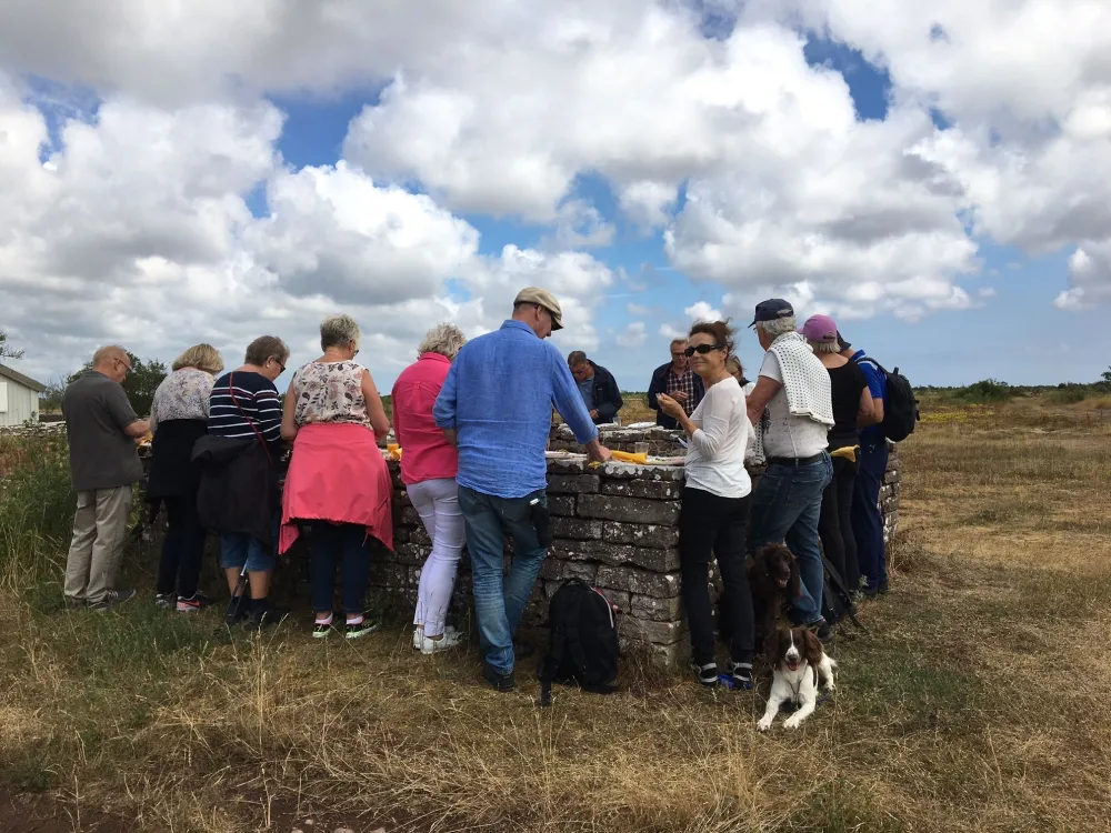 Stora Alvaret Vickleby