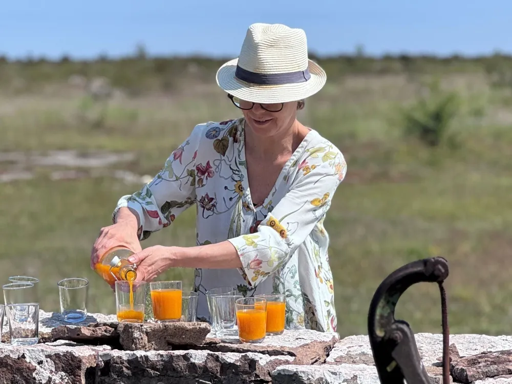 Havtornsdryck på Alvaret