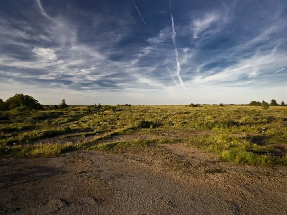 Matvandring i skymnigen
